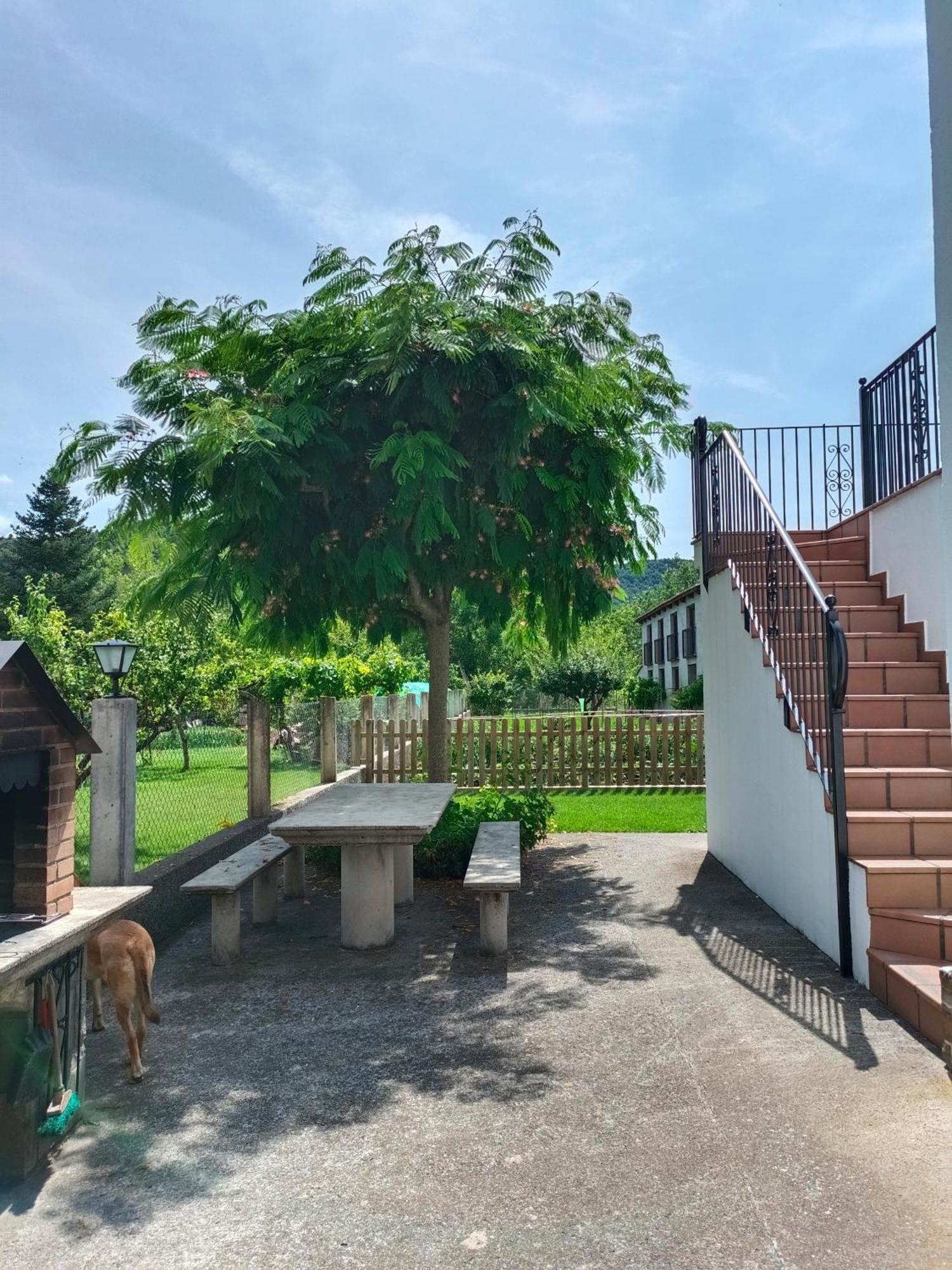 Apartamento Rural Casa Paco Con Jacuzzi Exterior Y Barbacoa Aínsa Eksteriør bilde